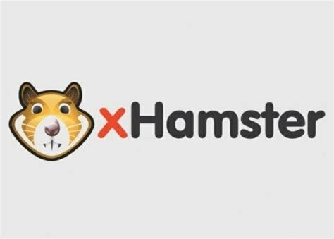 hamsterx porn|Porn Videos Based on Latest Recommendations